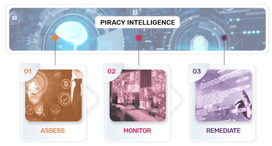 ANTI-PIRACY SERVICES ELEMENT-06