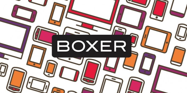 boxer2-600x300.jpg