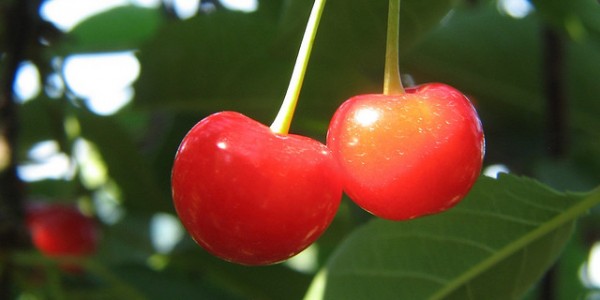 cherries-600x300.jpg