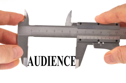 TV audience measurement