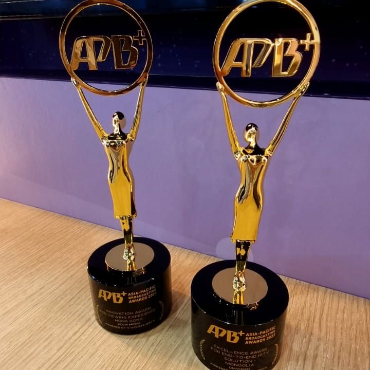 VO wins two awards @ Asia-Pacific Broadcasting Awards!